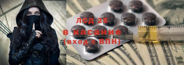 сатива Аркадак