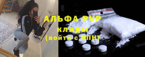 сатива Аркадак