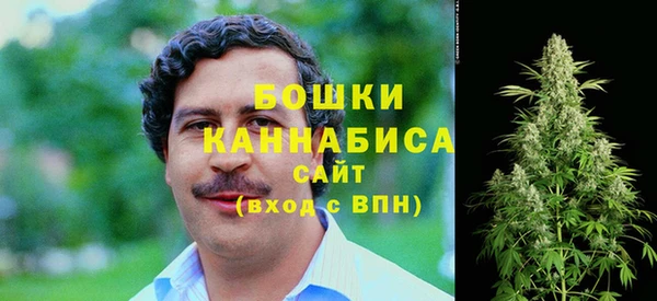 сатива Аркадак