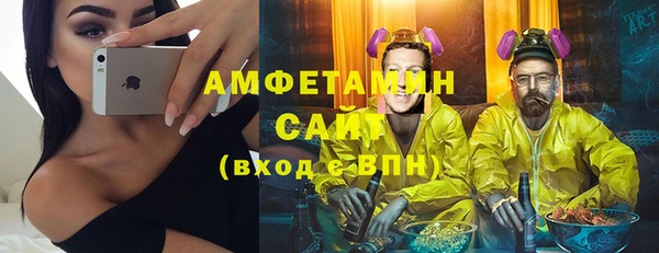 сатива Аркадак