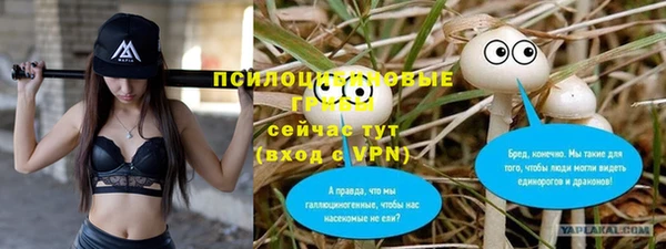 сатива Аркадак