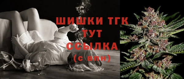 сатива Аркадак