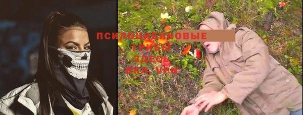 дживик Баксан